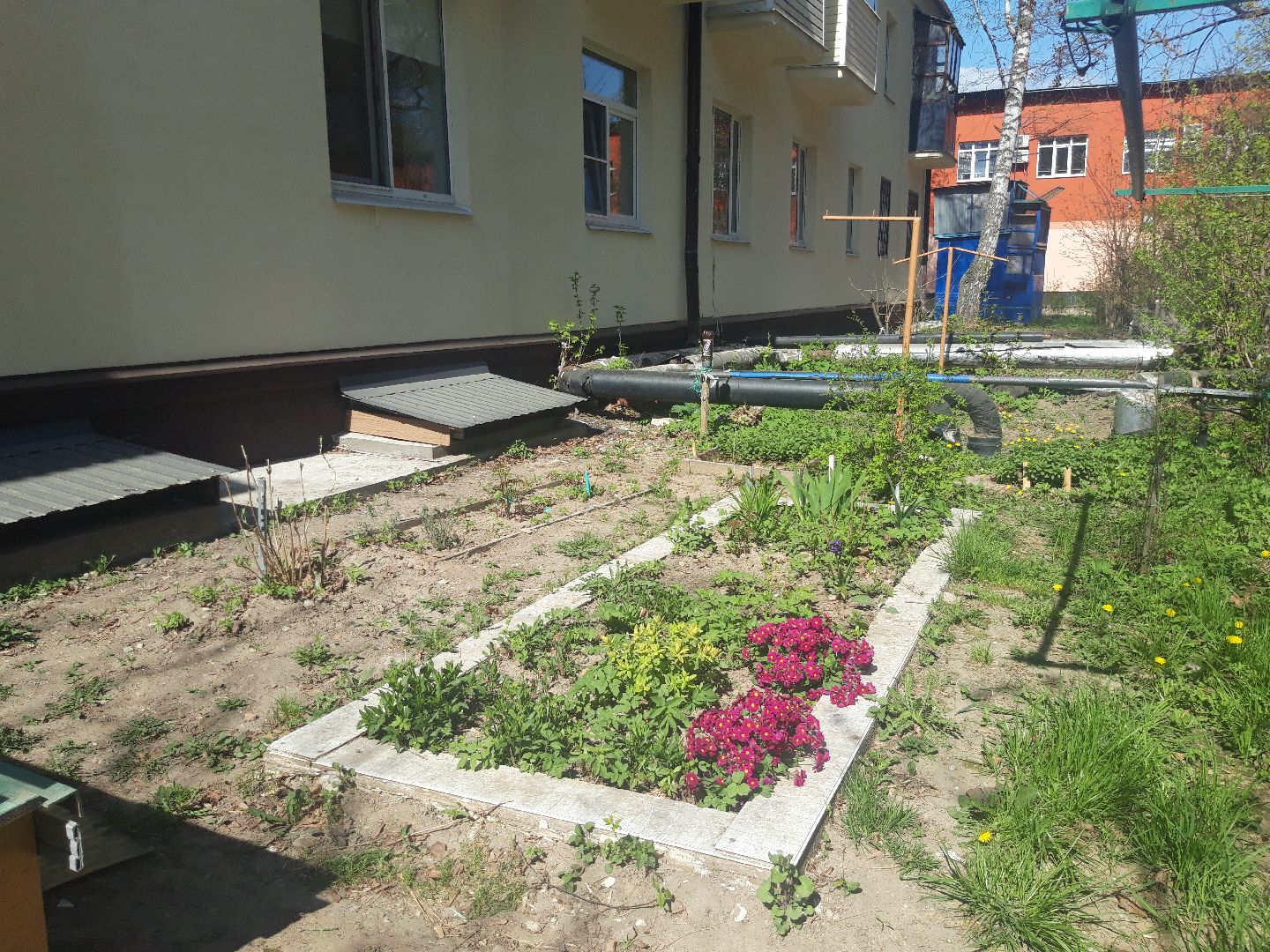 субботник, доброе дело, выходи во двор,