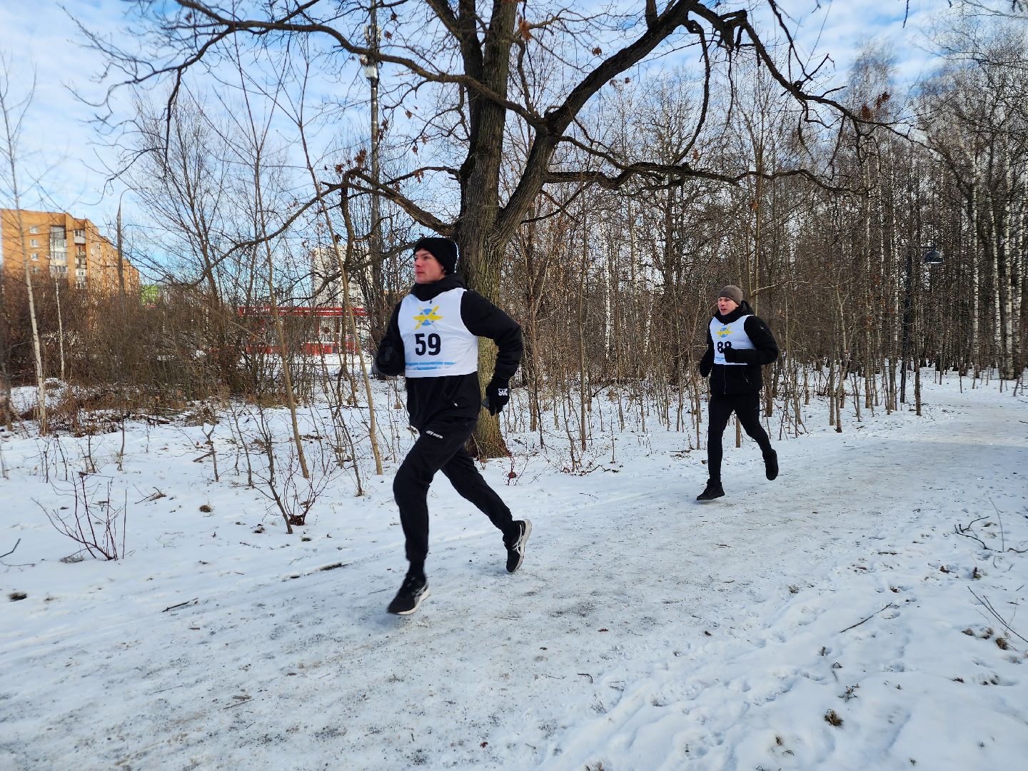 фрязино, кросс, спорт, день защитника отечества, лесопарк,