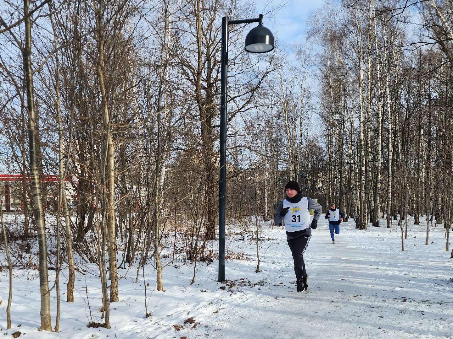 фрязино, кросс, спорт, день защитника отечества, лесопарк,