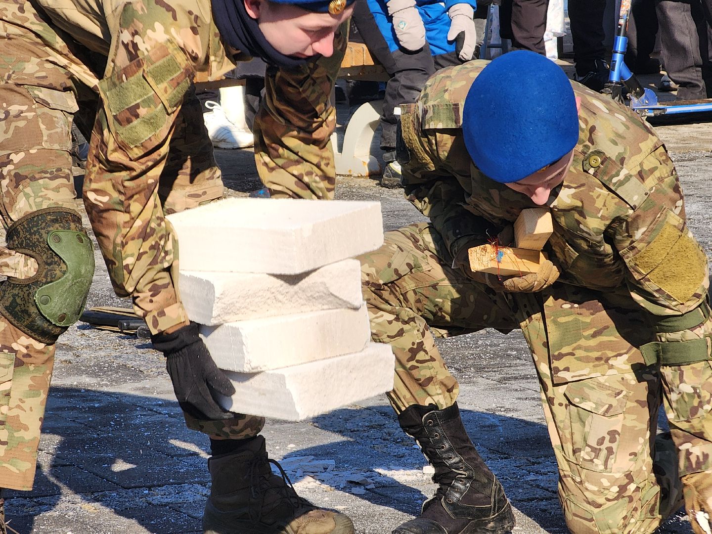 воскресенск, день защитника отечества, парк кривякино,