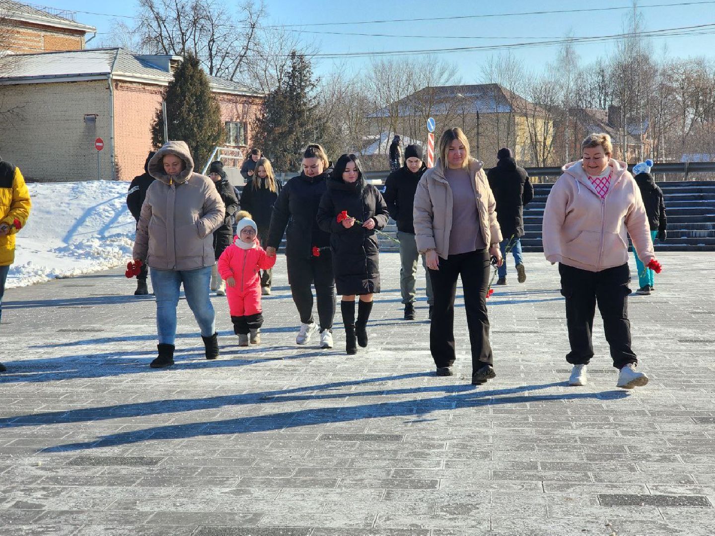 вертикалки, луховицы, 23 февраля, автопробег,