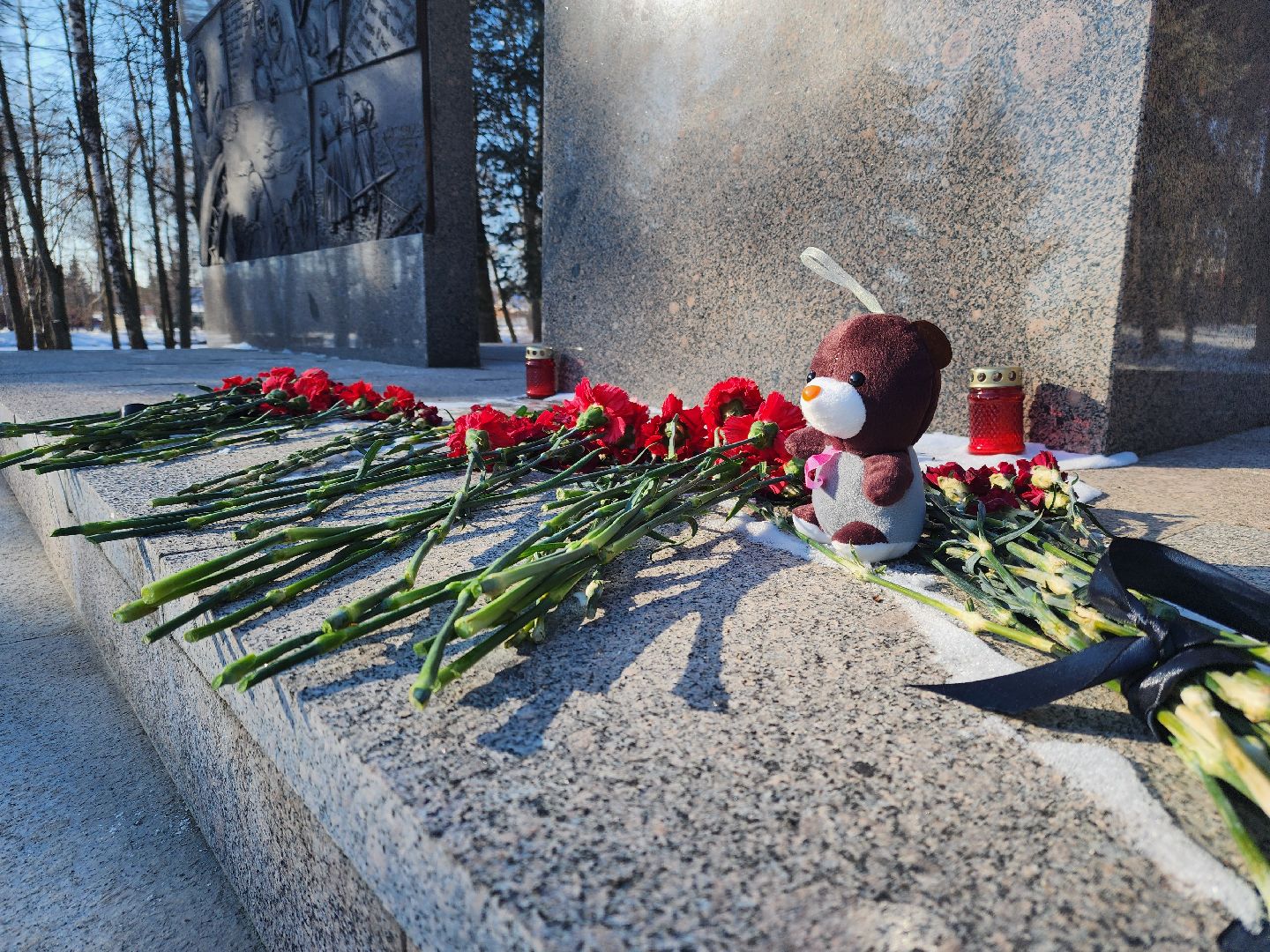 Зарайск, Луховицы, вертикалки, День защитника Отечества, Автопробег Луховицы-Зарайск,