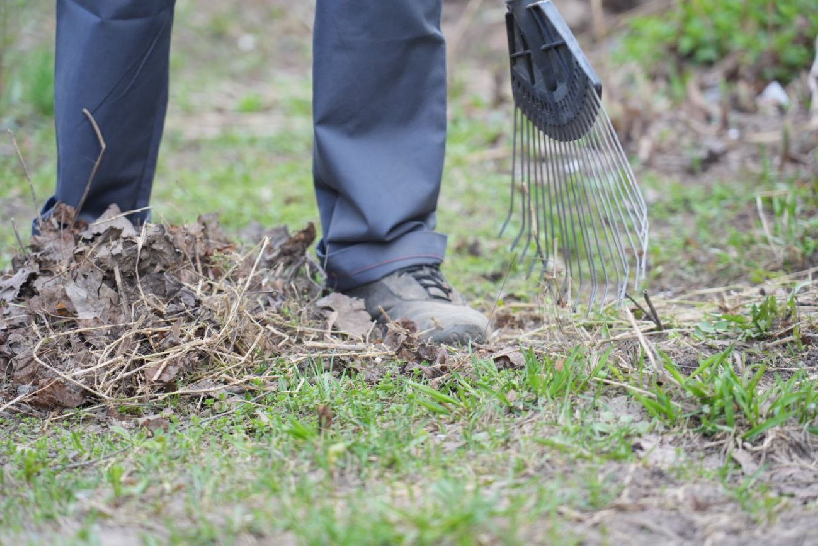 Сергиев Посад, Сергиево-Посадский городской округ, Субботник, Уборка, Благоустройство, УК, Управляющие компании