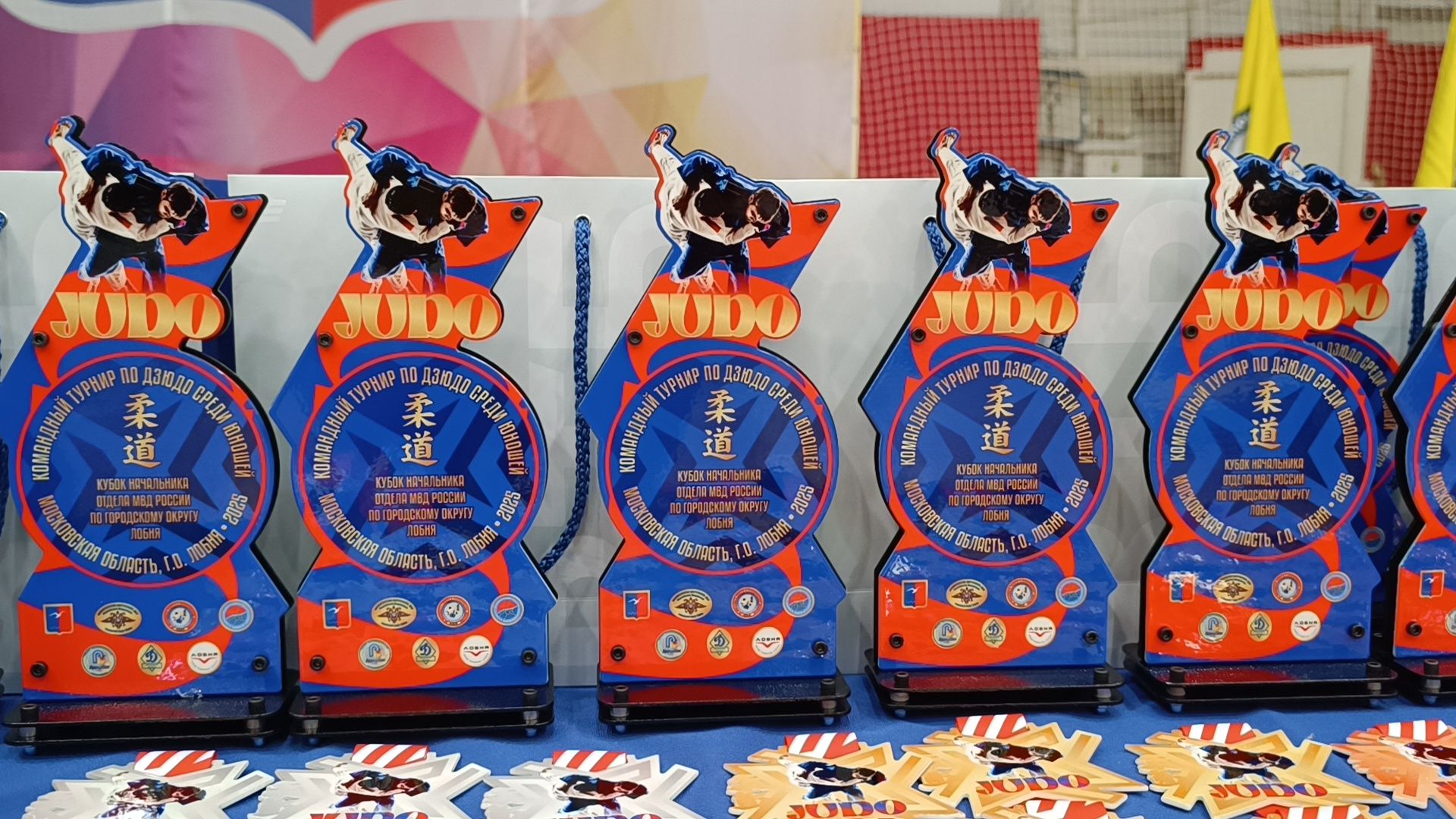 полиция, дзюдо, лобня, вертикалки,