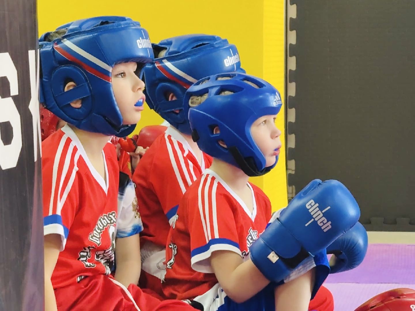 раменское, турнир, кикбоксинг, день защитника отечества,