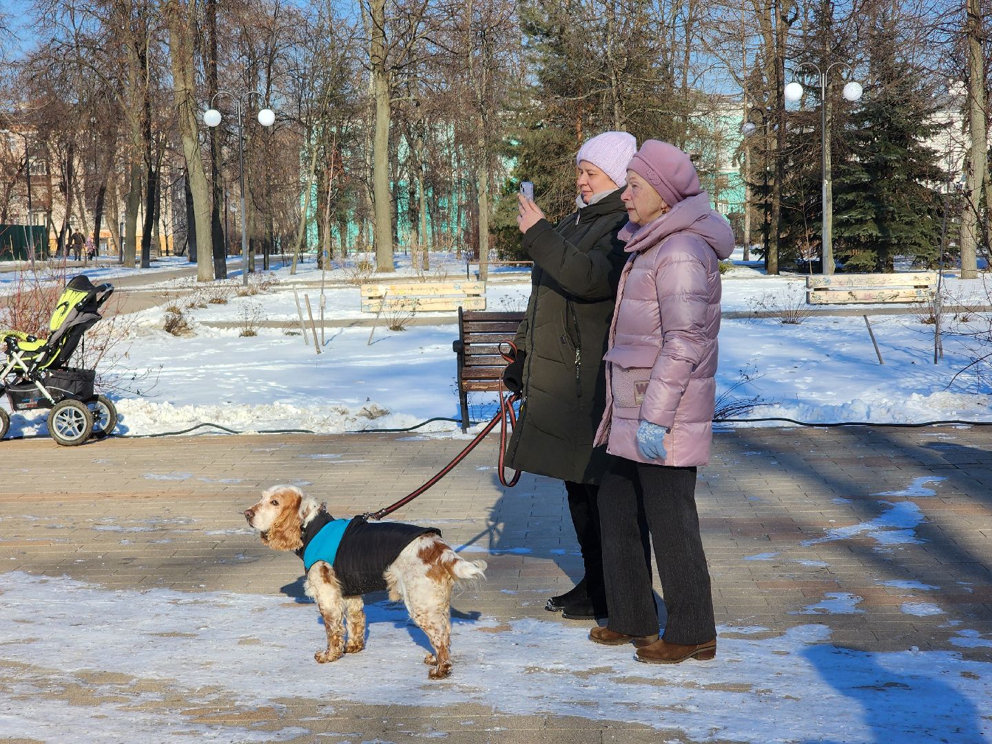 Концерт, день защитника отечества, 23 февраля, вертикалки,