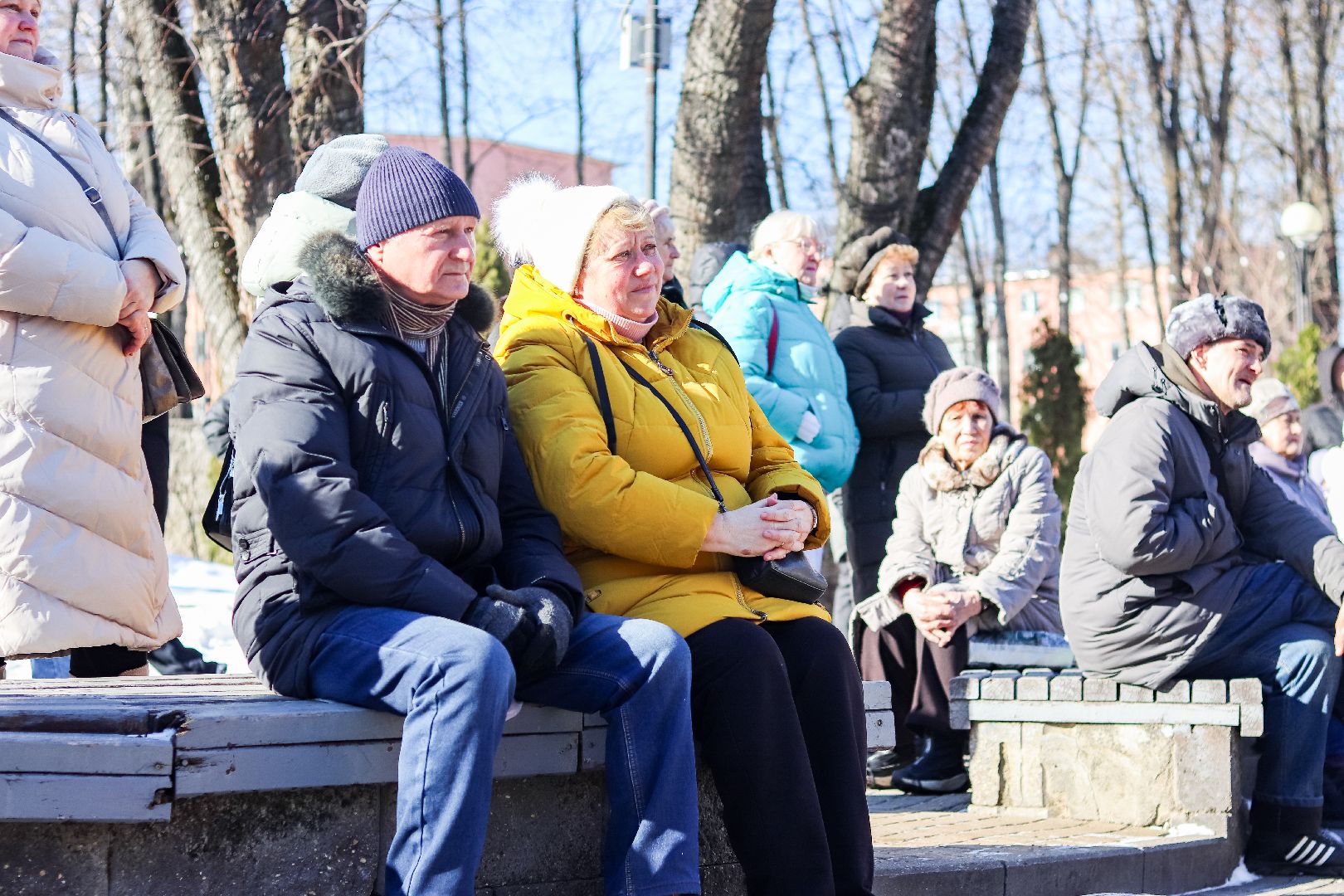 Клин, общество, культура, день защитника отечества, вертикалки,