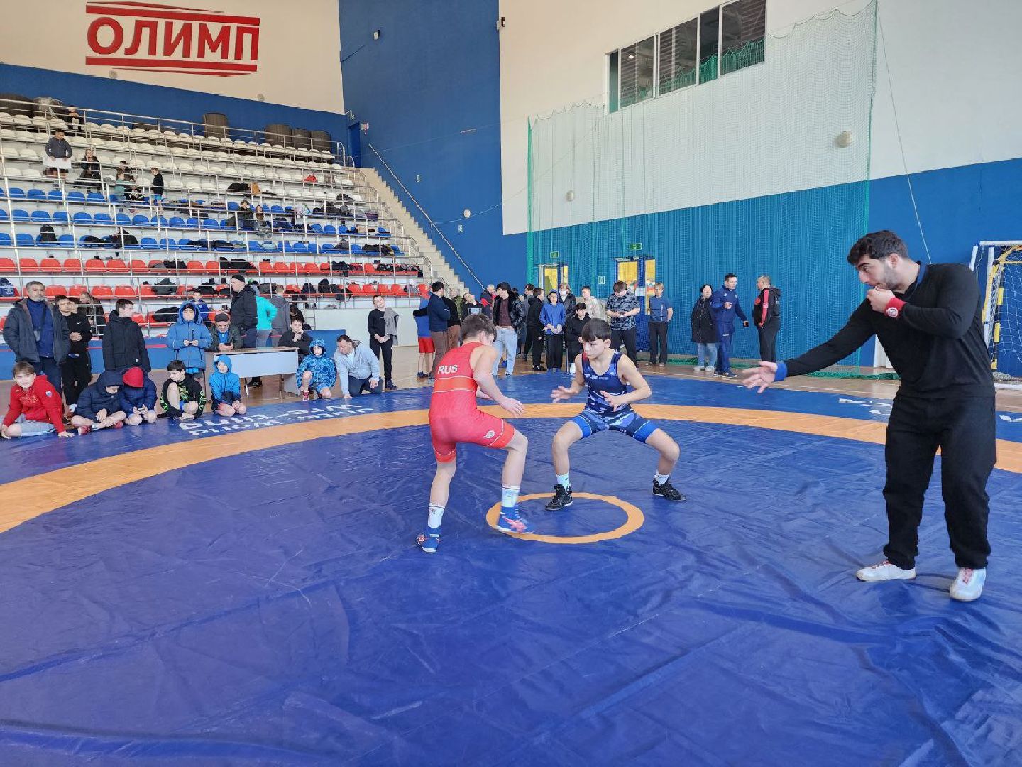 солнечногорск, спорт, турнир, греко-римская борьба, вертикалки,