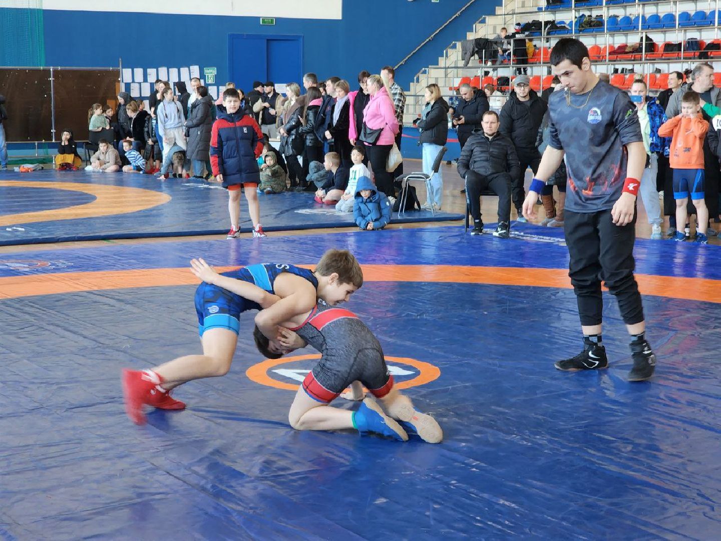 солнечногорск, спорт, турнир, греко-римская борьба, вертикалки,