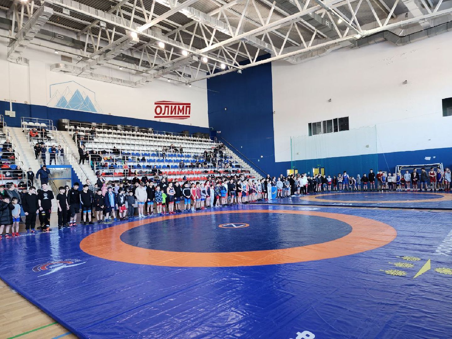 солнечногорск, спорт, турнир, греко-римская борьба, вертикалки,