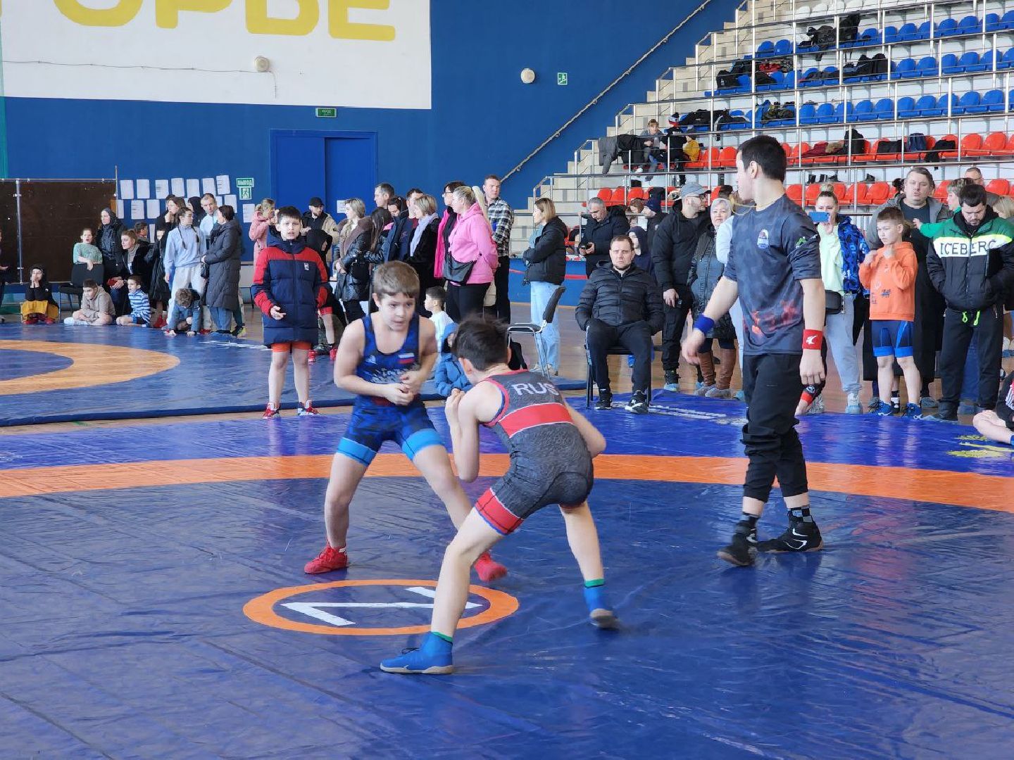 солнечногорск, спорт, турнир, греко-римская борьба, вертикалки,