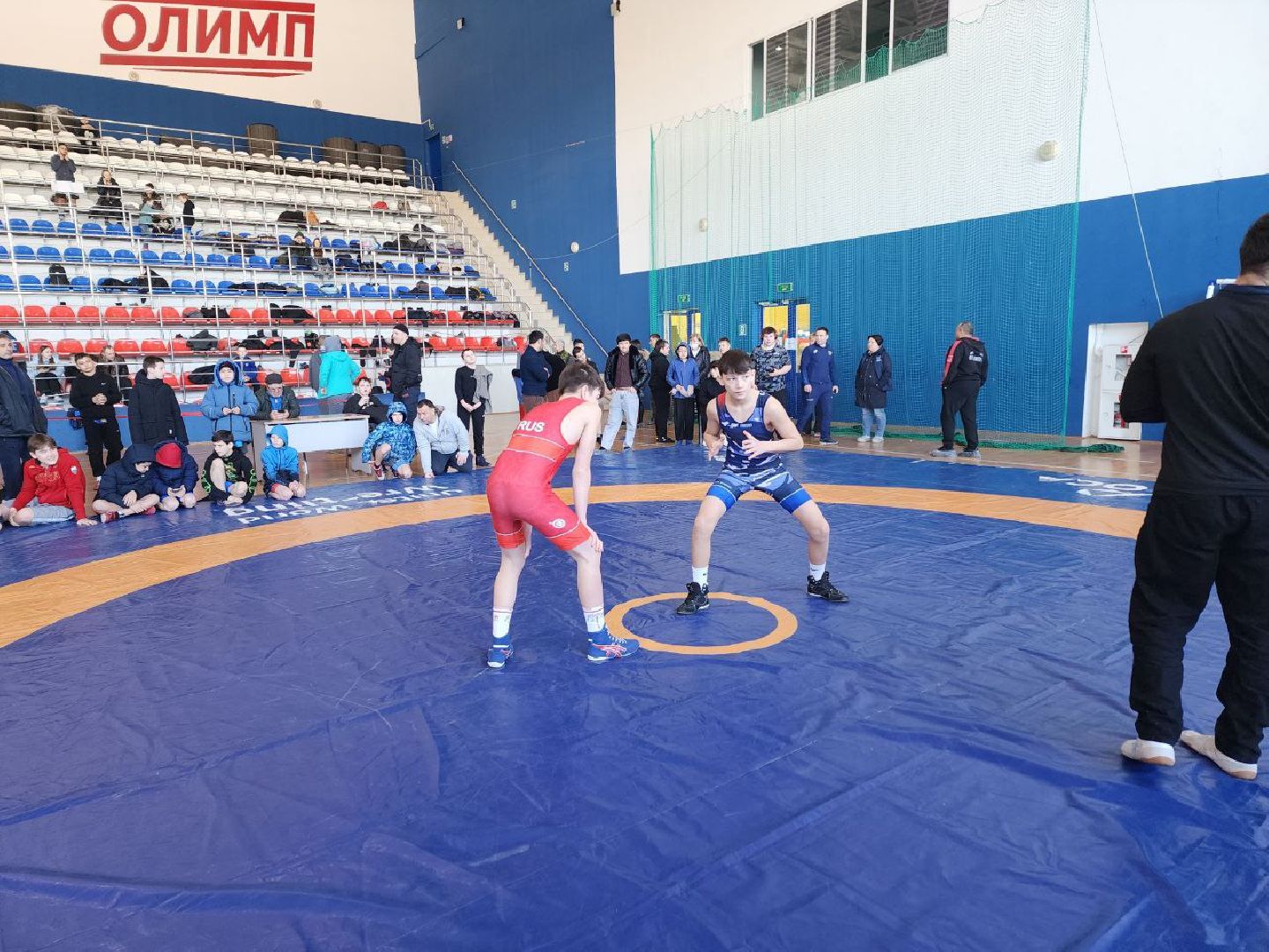 солнечногорск, спорт, турнир, греко-римская борьба, вертикалки,