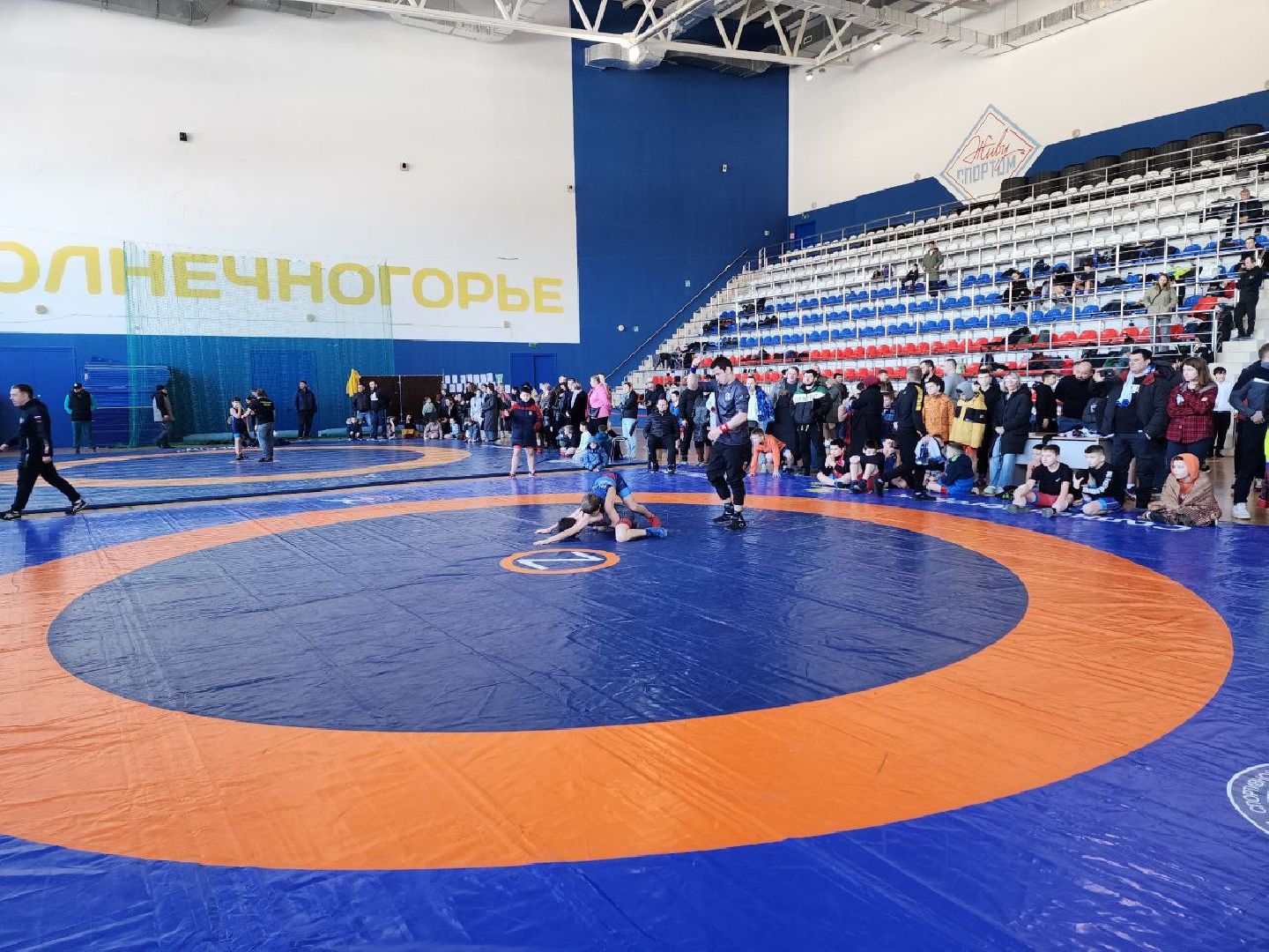 солнечногорск, спорт, турнир, греко-римская борьба, вертикалки,