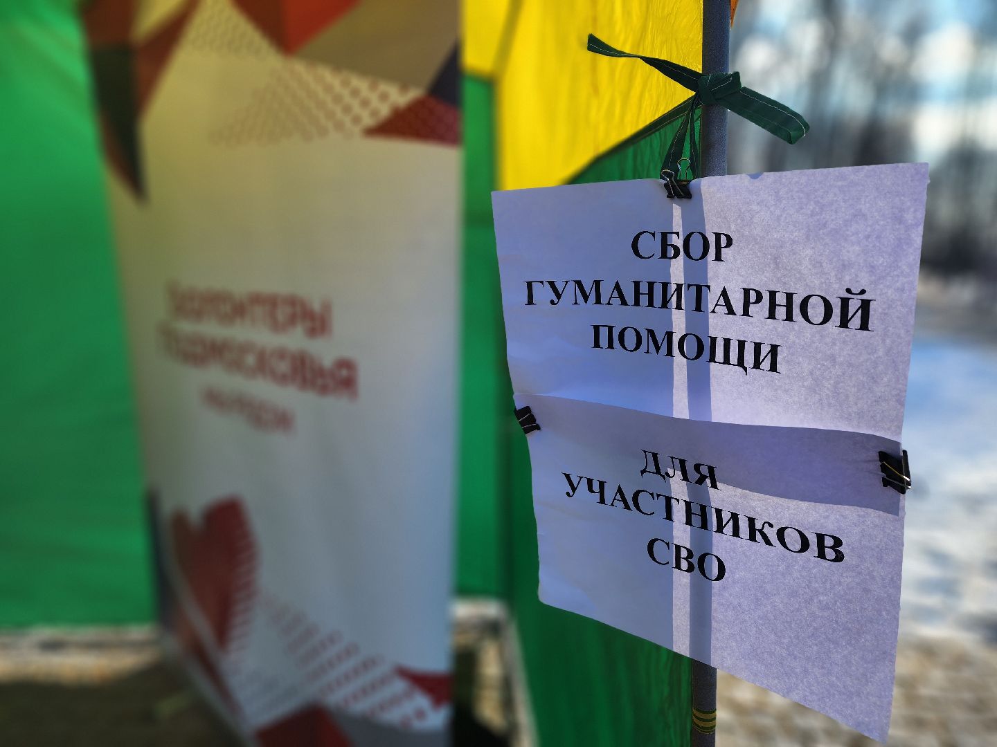 воскресенск, парк кривякино, день защитника отечества,