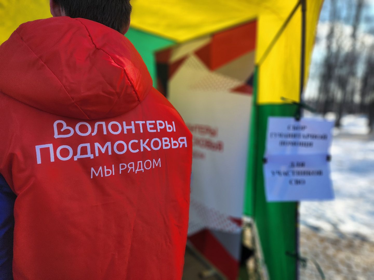 воскресенск, парк кривякино, день защитника отечества,