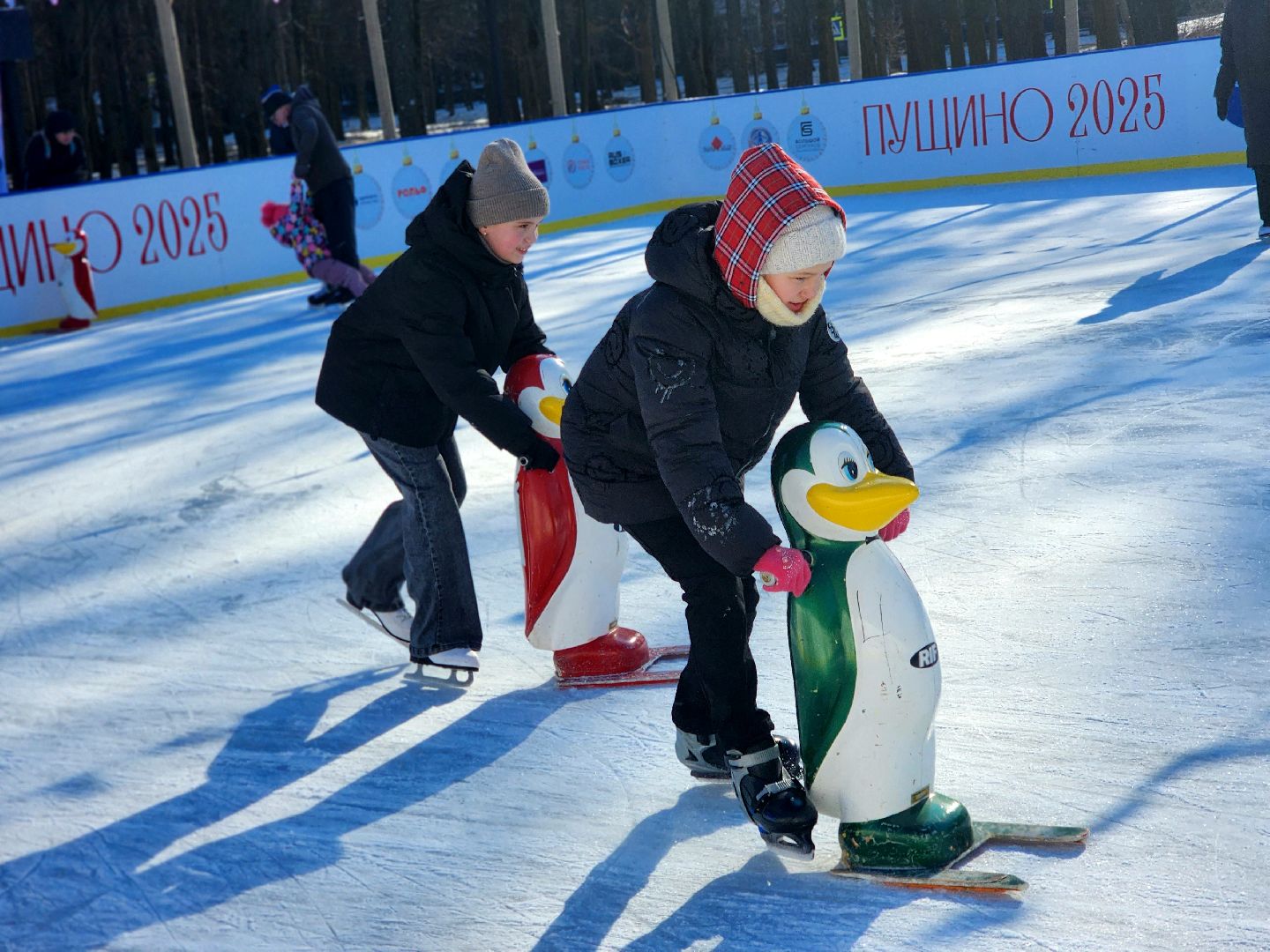 пущино, серпухов, каток,