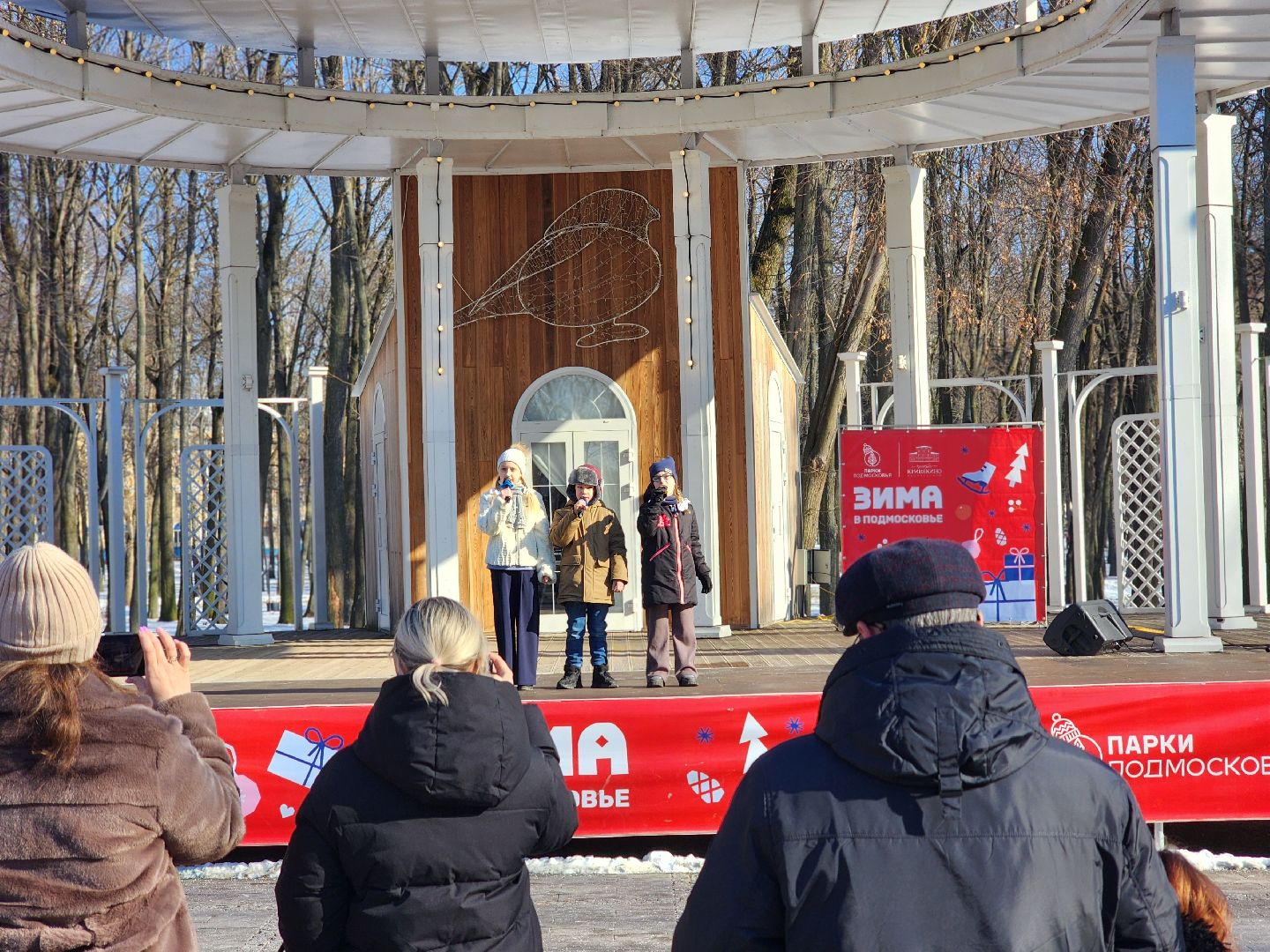 воскресенск, парк кривякино, день защитника отечества,