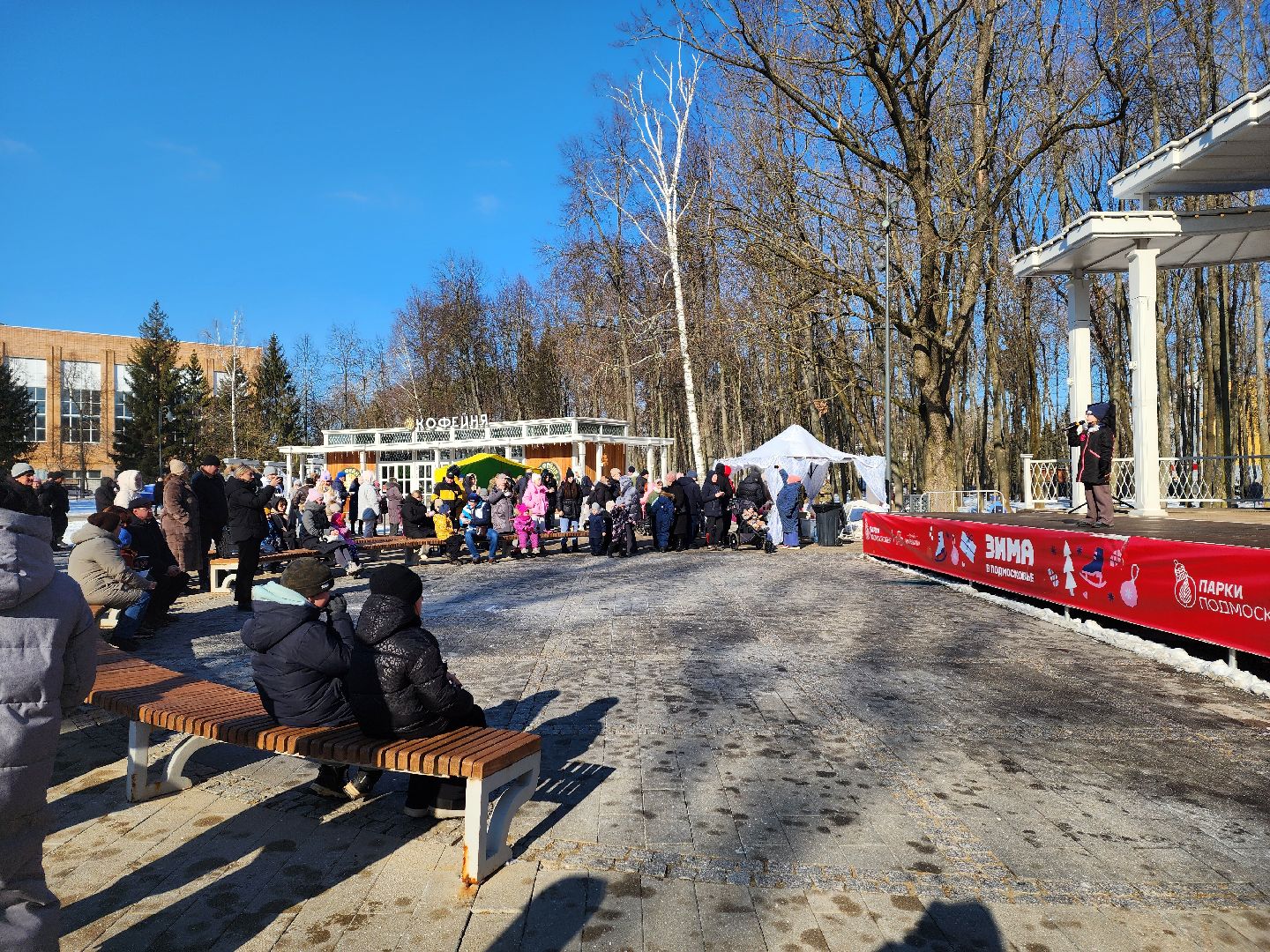 воскресенск, парк кривякино, день защитника отечества,