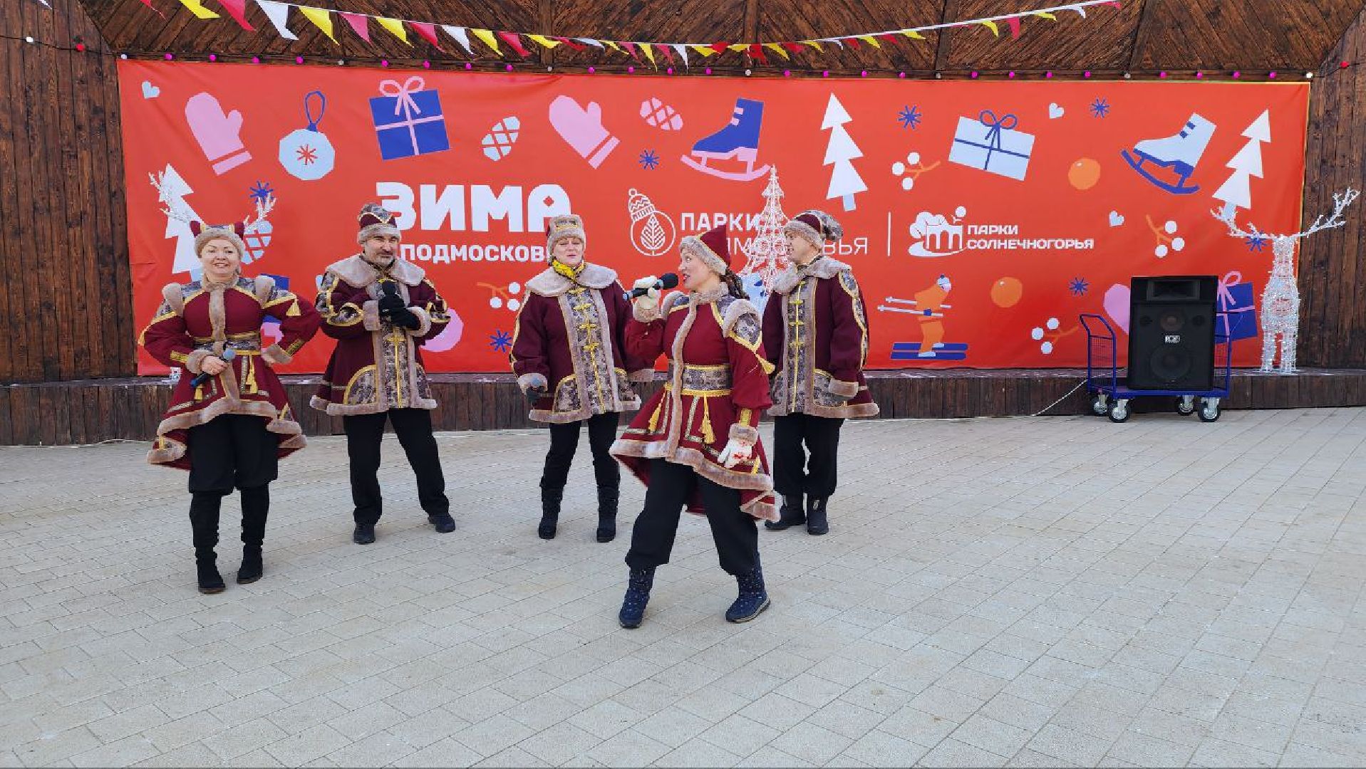 солнечногорск, вертикалки, день защитника отечества,