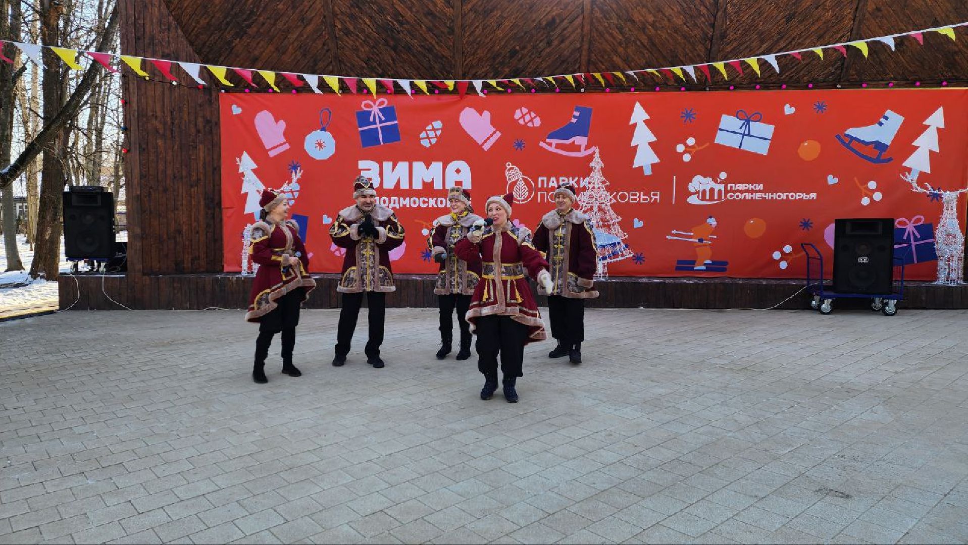 солнечногорск, вертикалки, день защитника отечества,
