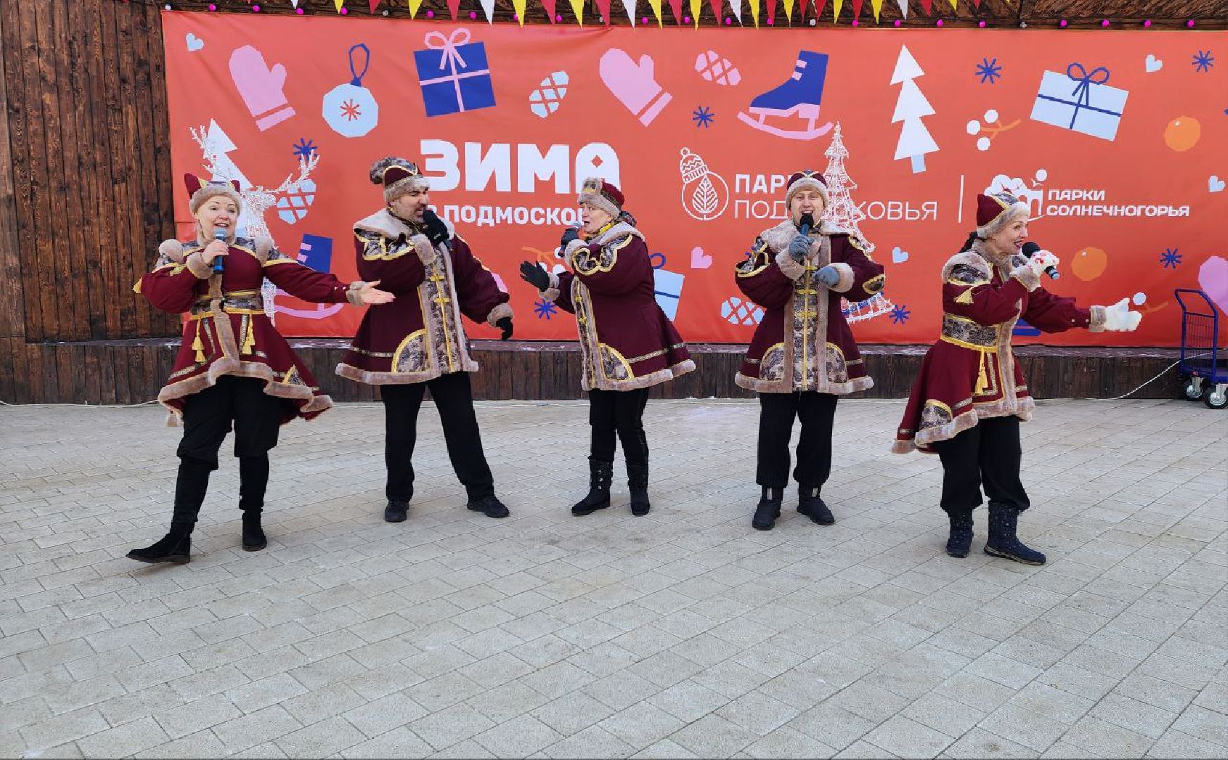 солнечногорск, вертикалки, день защитника отечества,