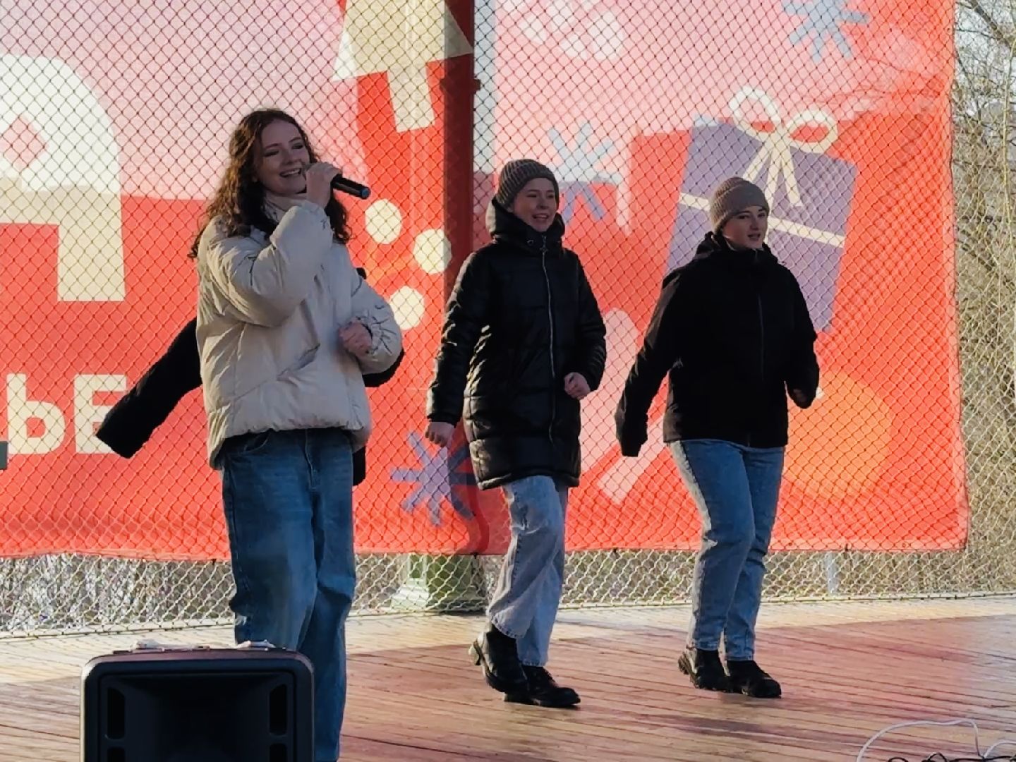 раменское, день защитника отечества, раменский городской парк, концерт,