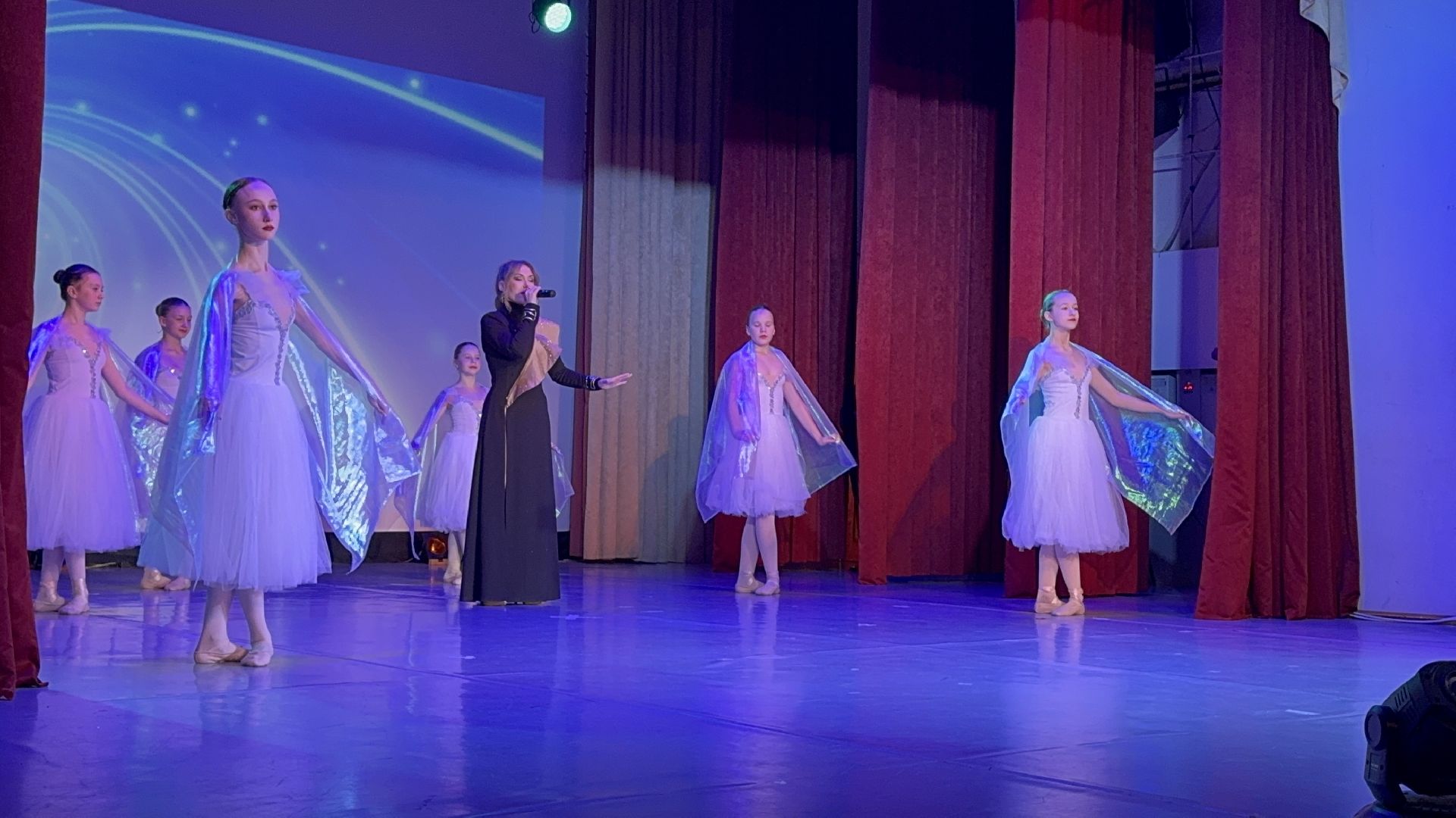 солнечногорск, сольный концерт, мария браво, зрители, день защитника отечества, вертикалки,