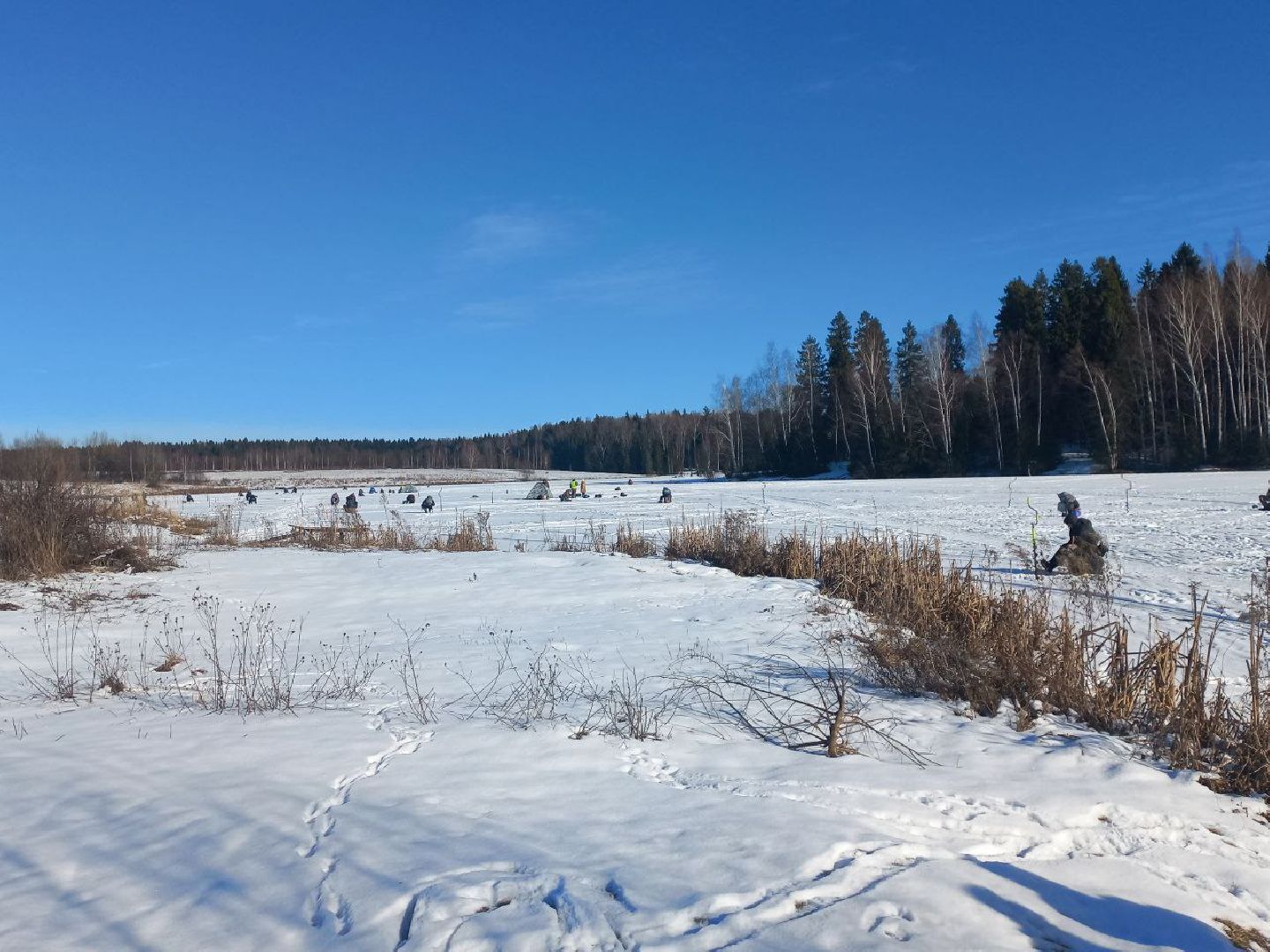 чемпионат москвы, сергиев посад, мормышка, рыболовный спорт, кочевник, морозово, ркс барс,
