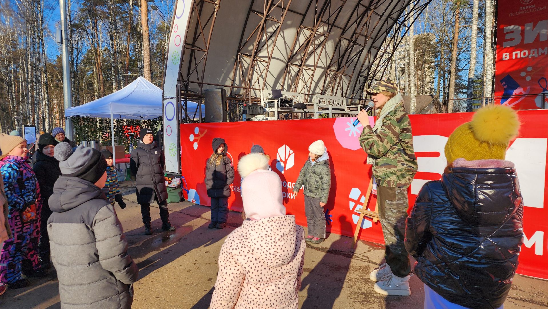 День защитника Отечества, 23 февраля, Центральный парк, Ногинск, Богородский городской округ, вертикалки,