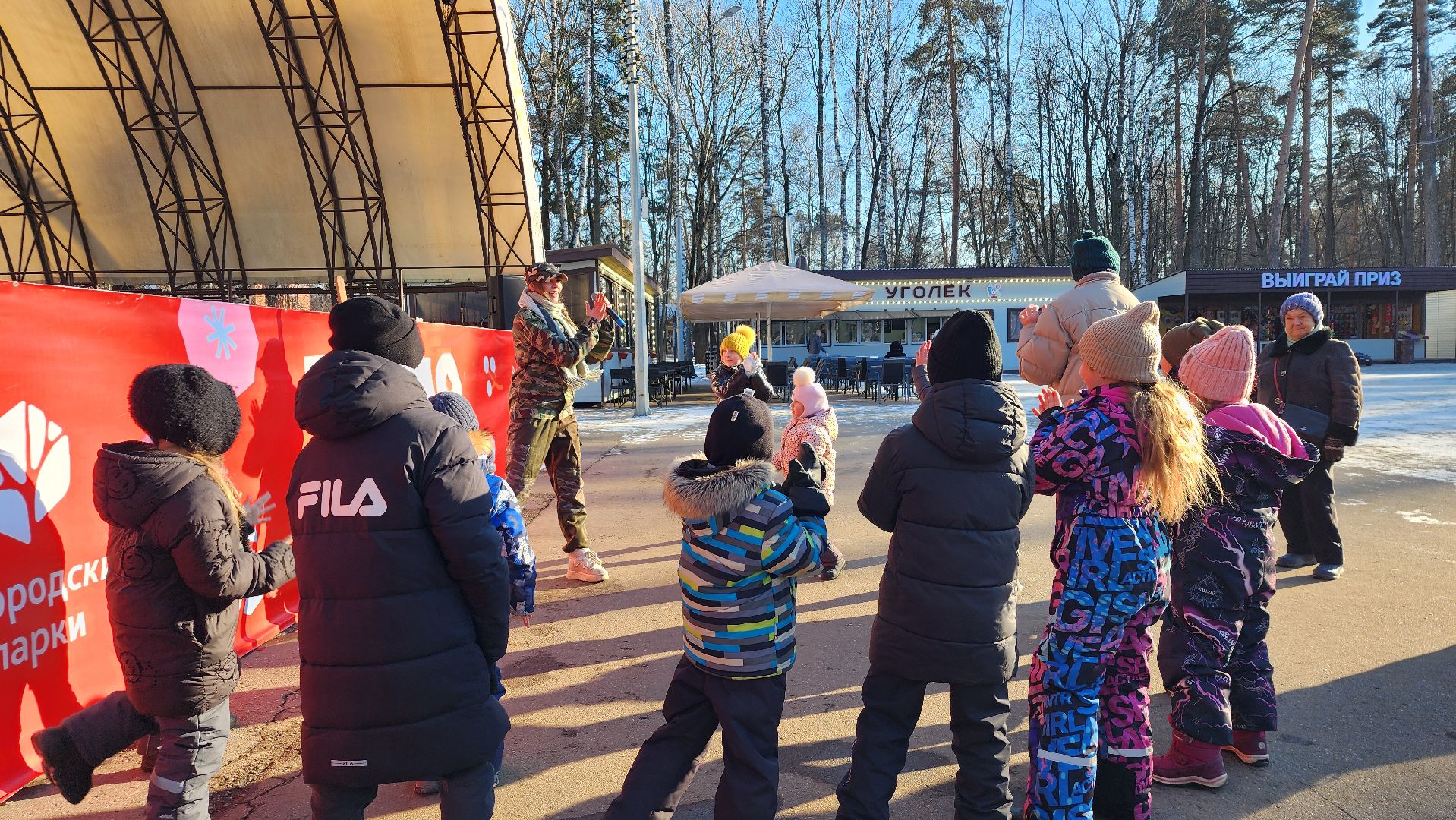 День защитника Отечества, 23 февраля, Центральный парк, Ногинск, Богородский городской округ, вертикалки,