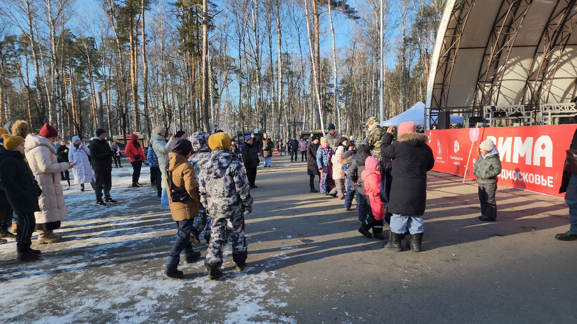 День защитника Отечества, 23 февраля, Центральный парк, Ногинск, Богородский городской округ, вертикалки,