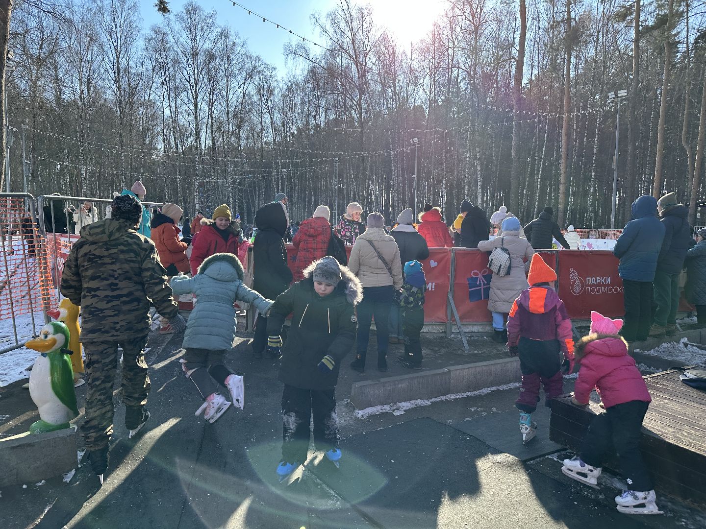 день защитника отечества, каток в парке,