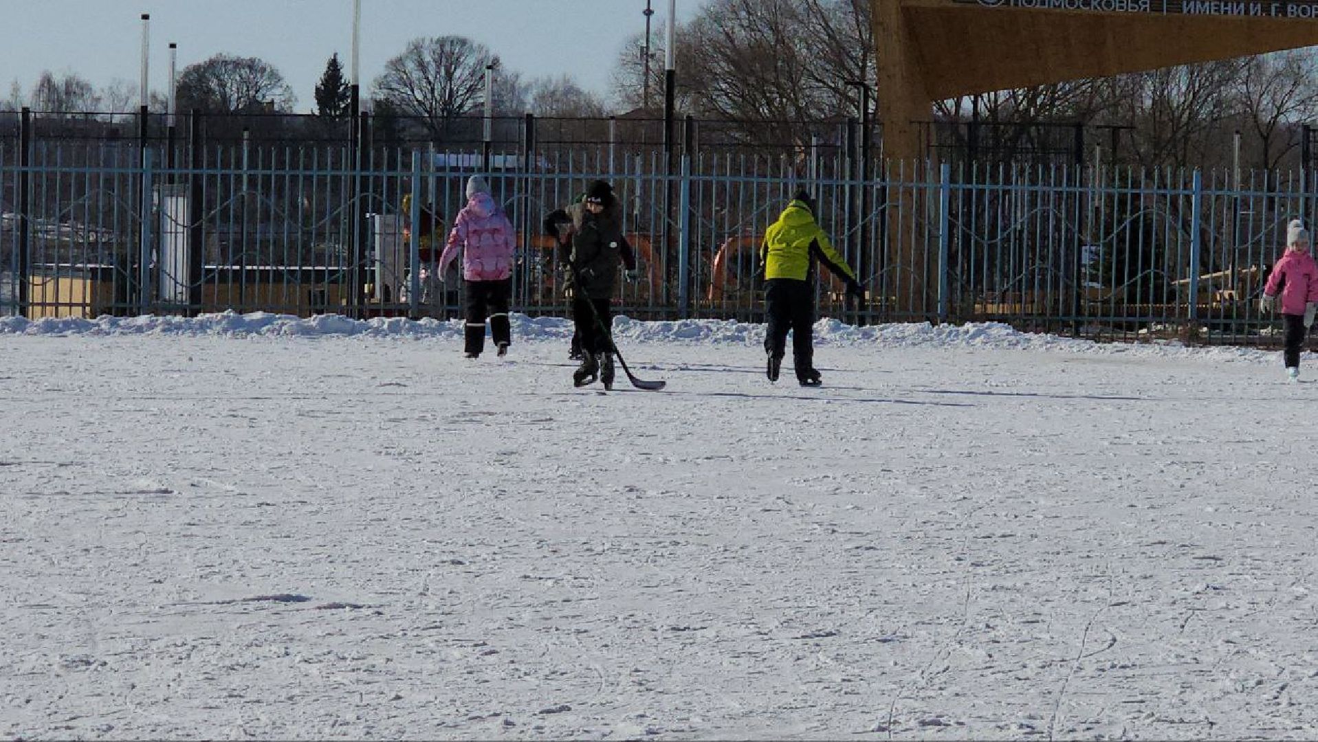 вертикалки, луховицы, каток, 23 февраля,