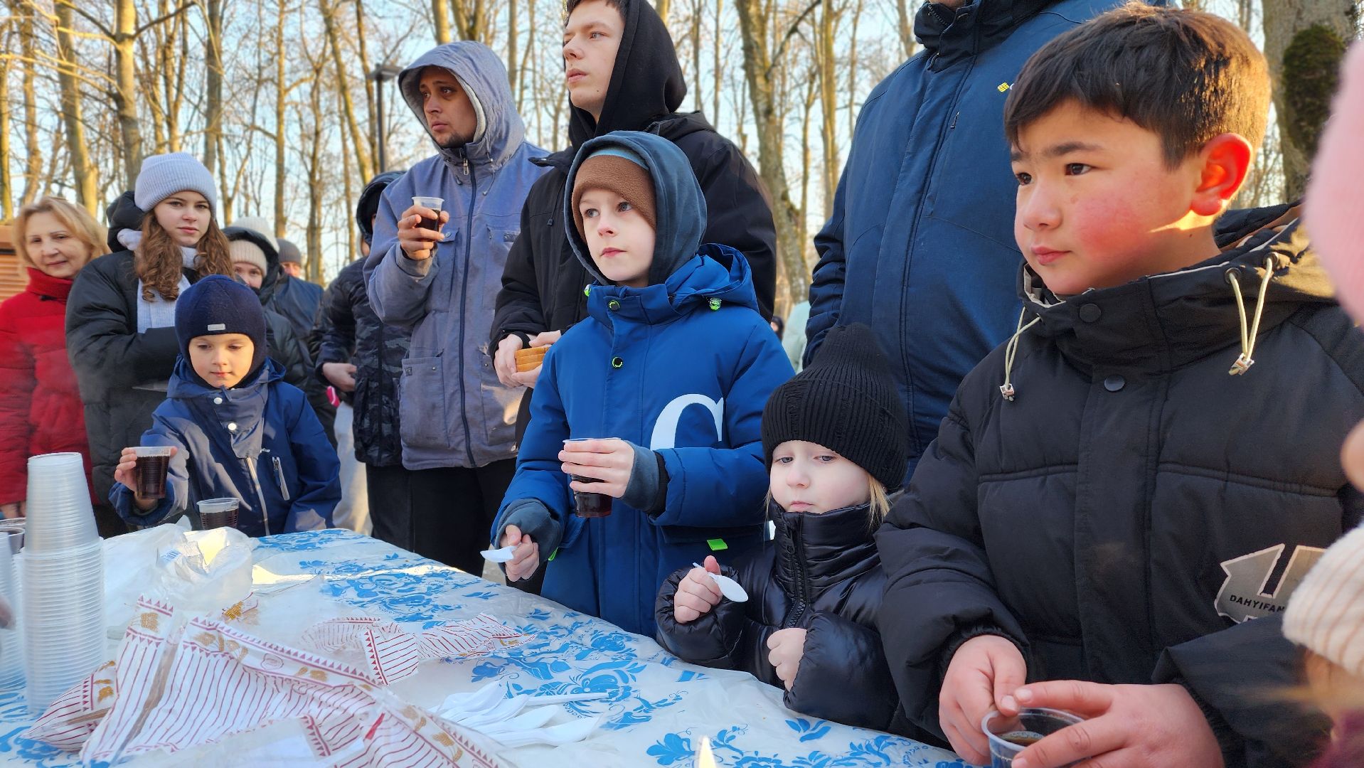 Лосино-Петровский, День защитника Отечества, Парки Подмосковья,