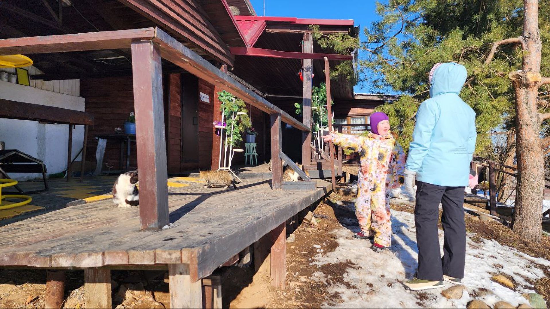 Дмитров, Клуб Леонида Тягачева, Туризм, вертикалки,