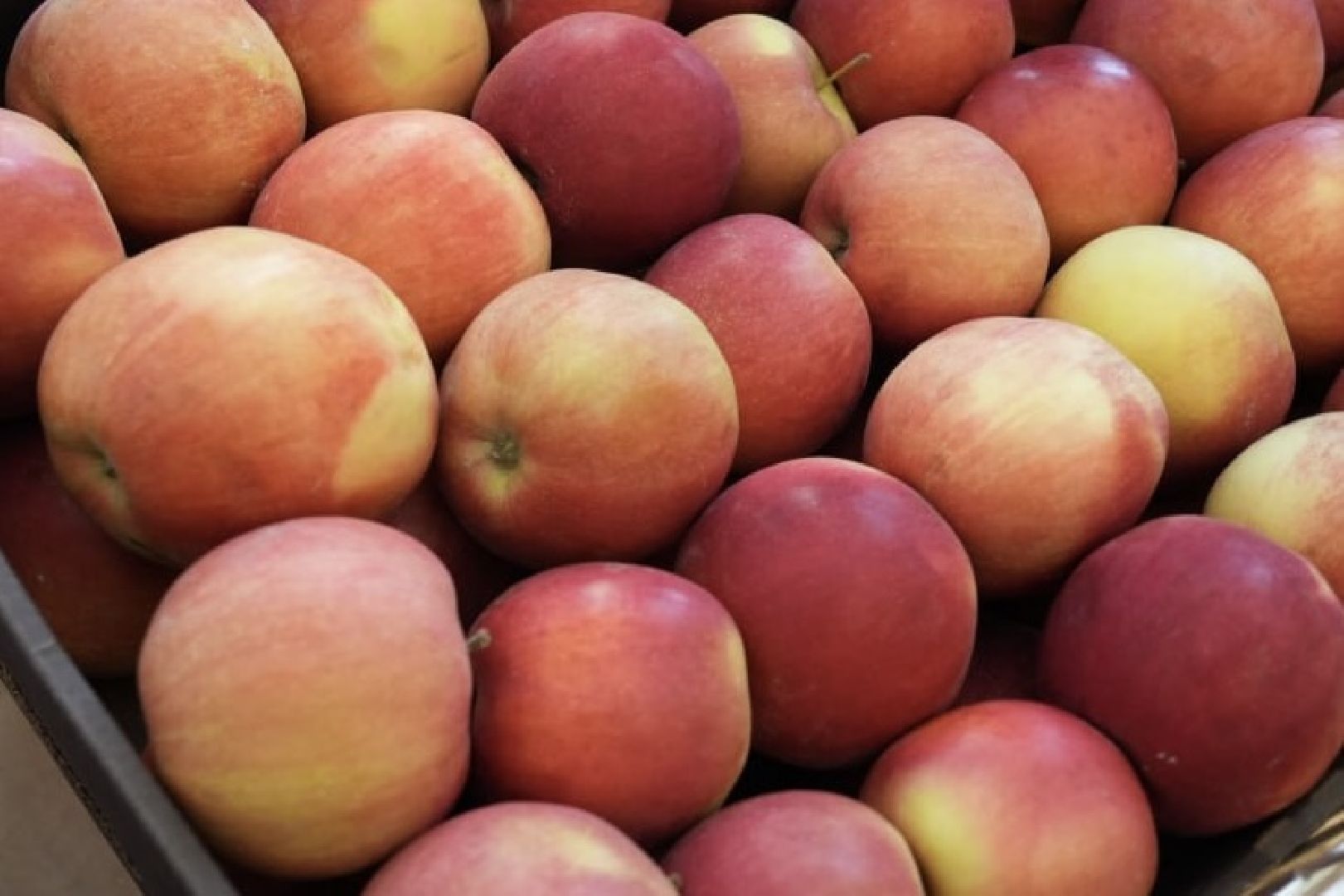 сергиев посад, медицина, сво, здоровье, день защитника отечества, сергиево-посадский городской округ, поддержка,