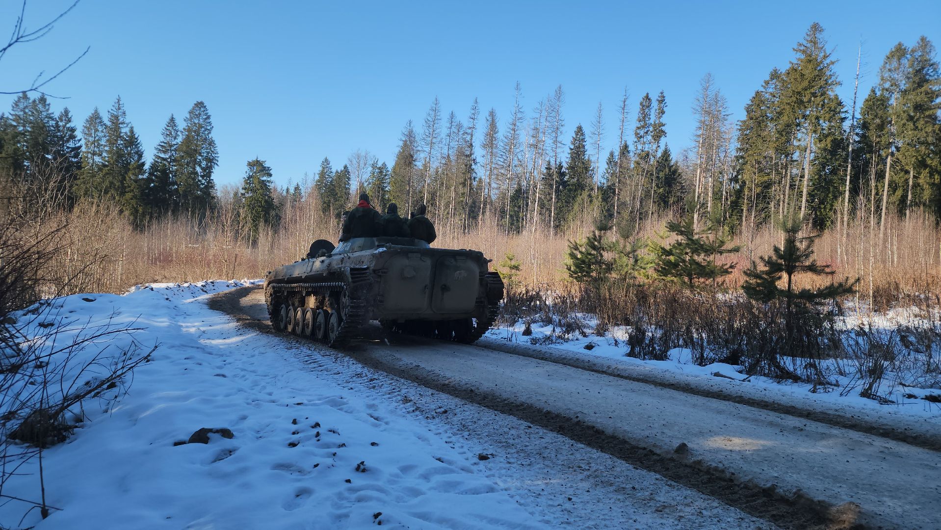 мытищи, день защитника отечества, танки,