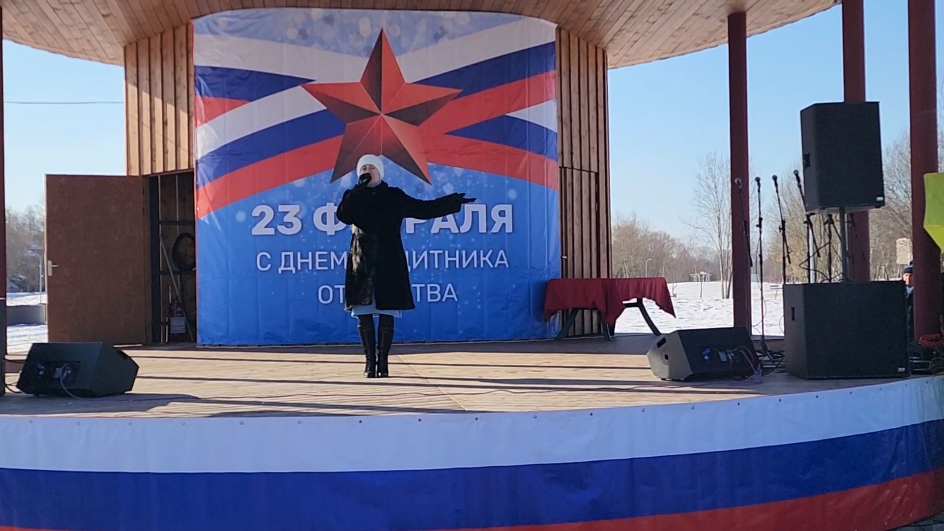 вертикалки, Бронницы, 23 февраля, Разрешите поздравить, парк бронницкий луг,