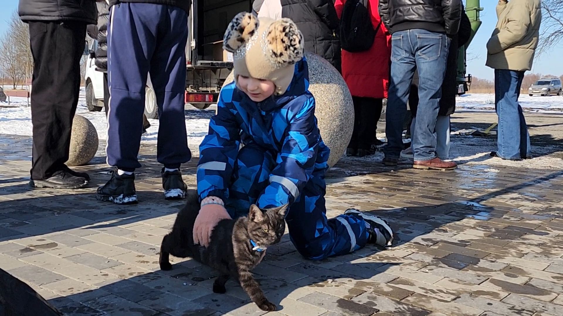 вертикалки, Бронницы, 23 февраля, Разрешите поздравить, парк бронницкий луг,