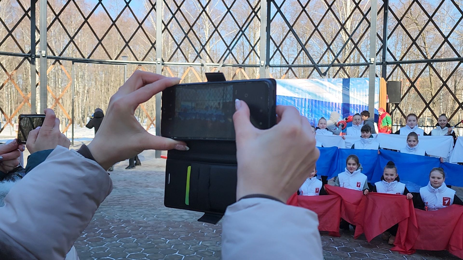 вертикалки, Егорьевск, Подмосковье, Московская область,