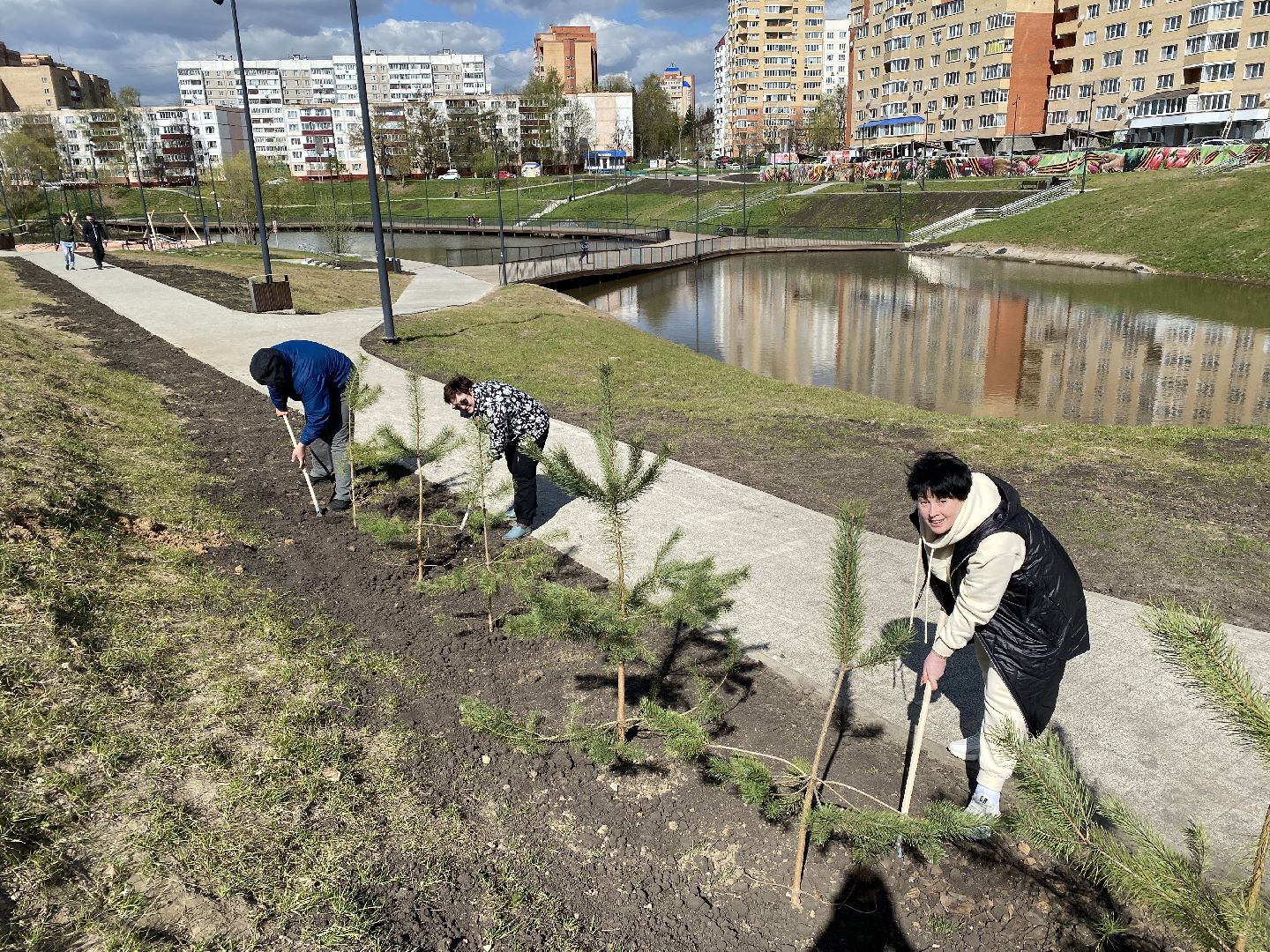 Чехов, благоустройство, Теребенка, депутат, дерево