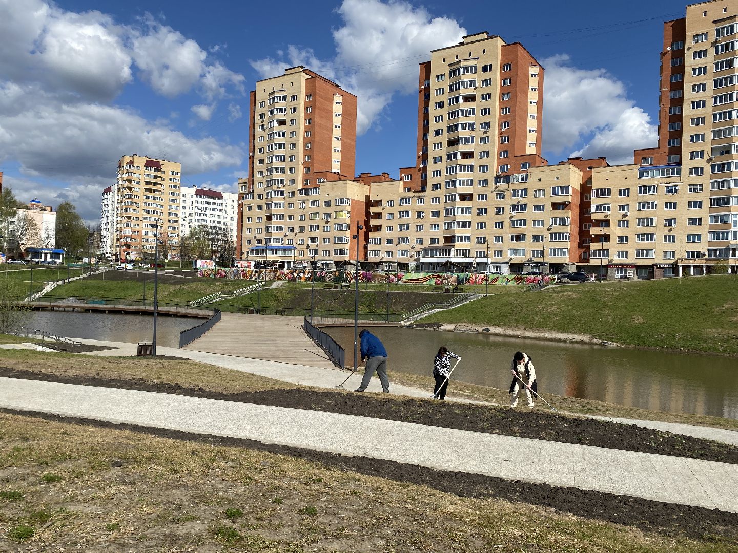 Чехов, благоустройство, Теребенка, депутат, дерево