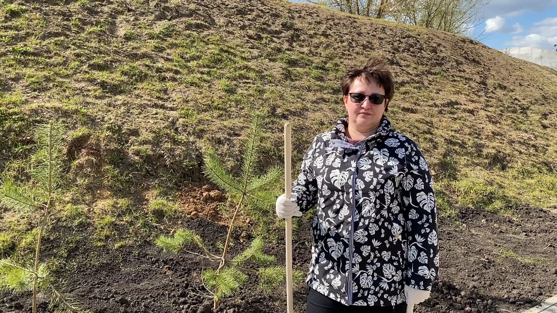 Чехов, благоустройство, Теребенка, депутат, дерево