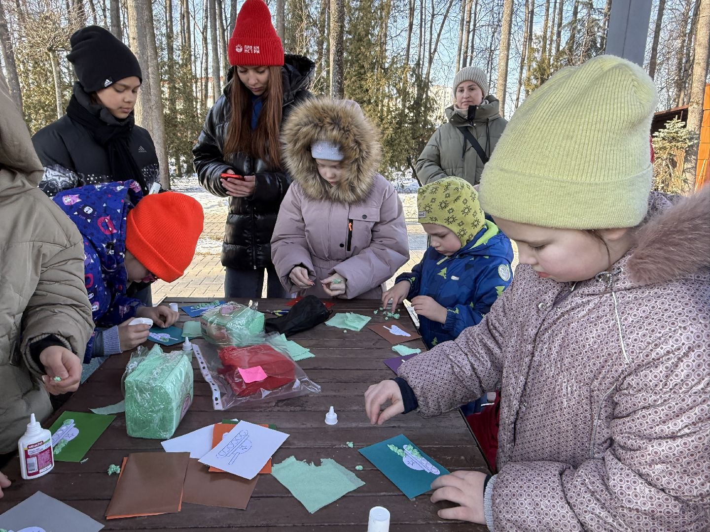 день защитника отечества, парки зимой, вертикалки,