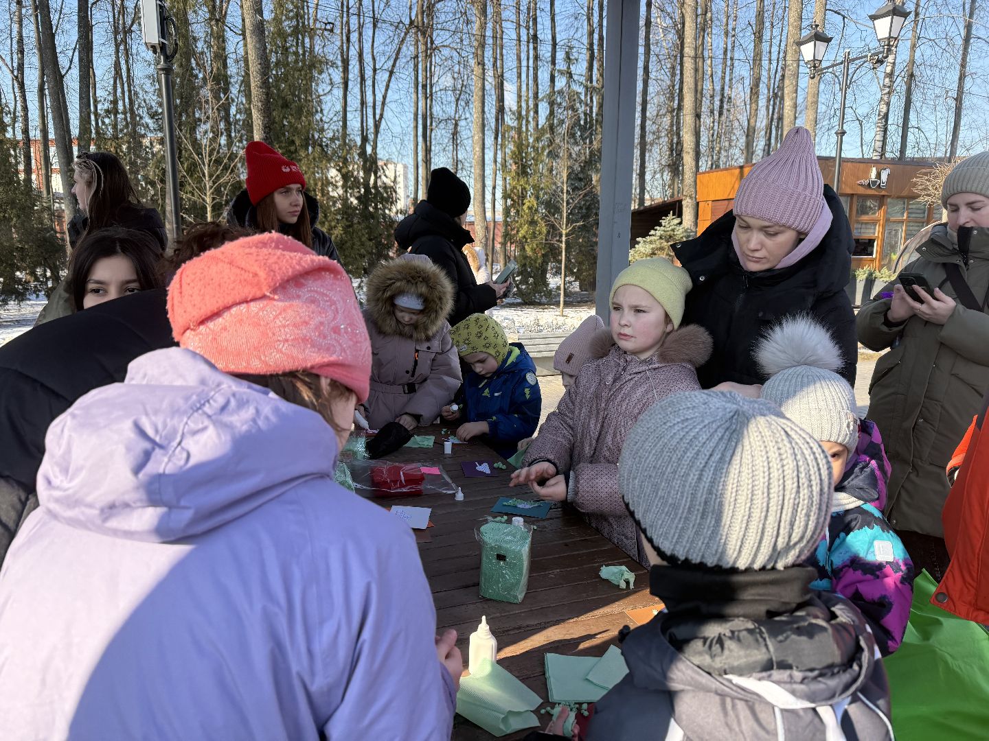 день защитника отечества, парки зимой, вертикалки,