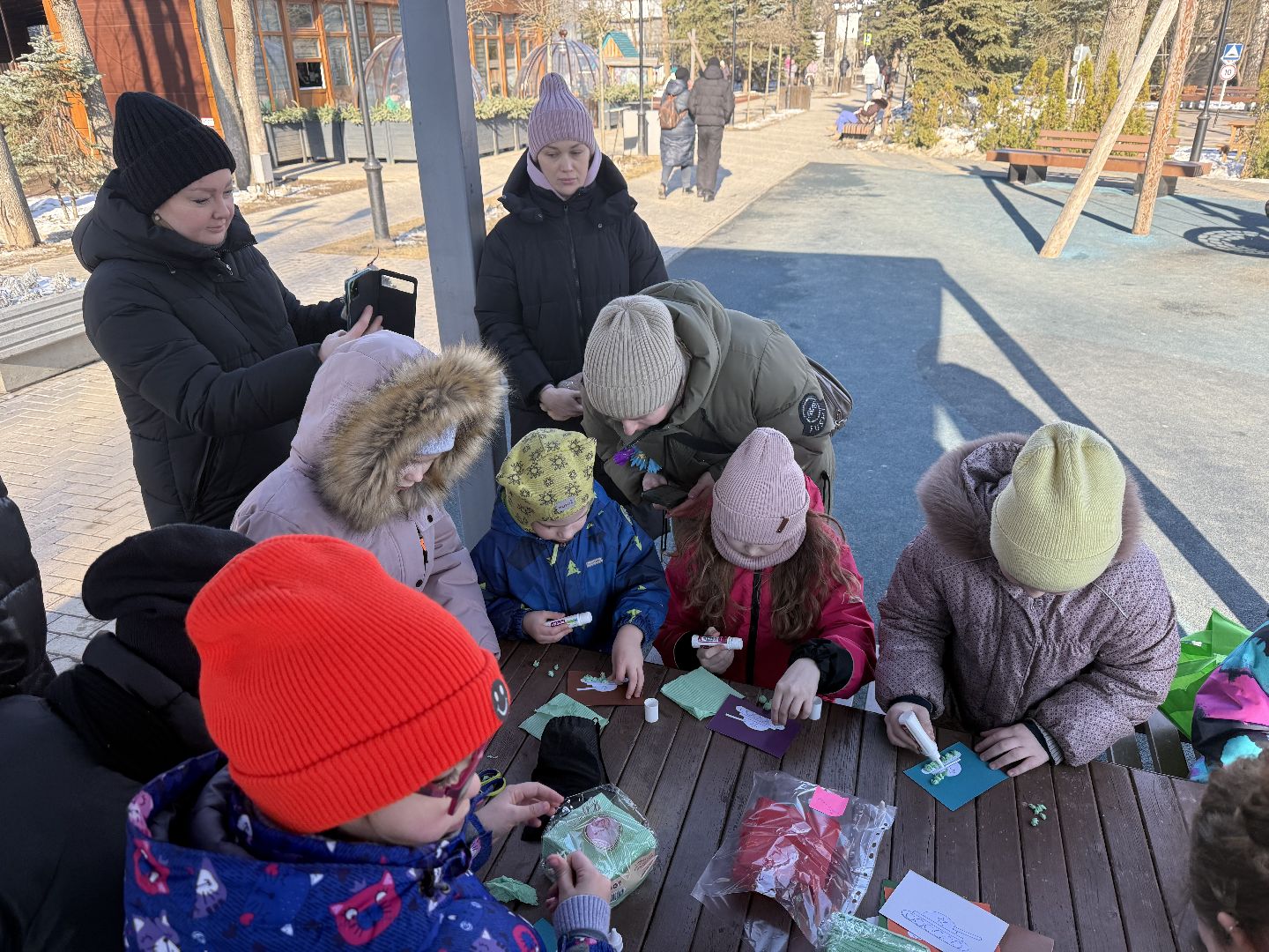 день защитника отечества, парки зимой, вертикалки,