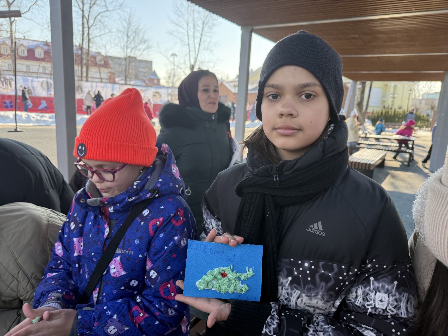 день защитника отечества, парки зимой, вертикалки,