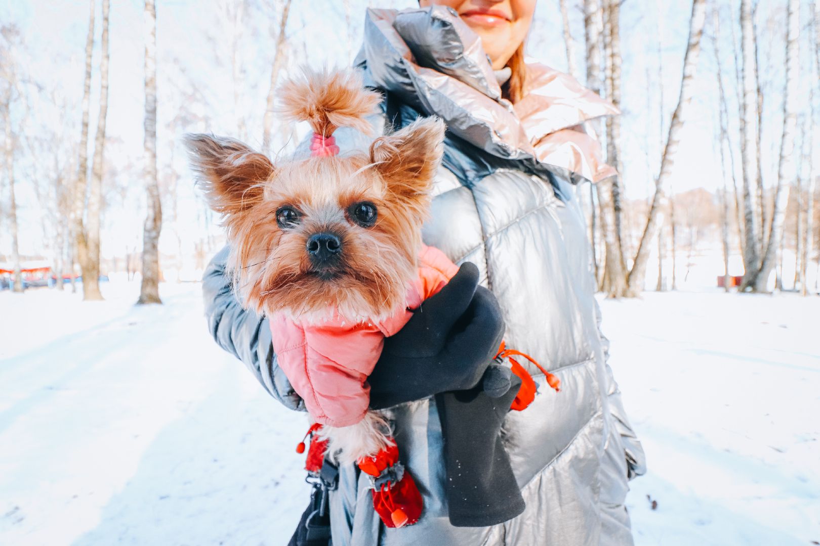 Клин, дети, день защитника отечества, лазертаг, игры в парке, вертикалки,