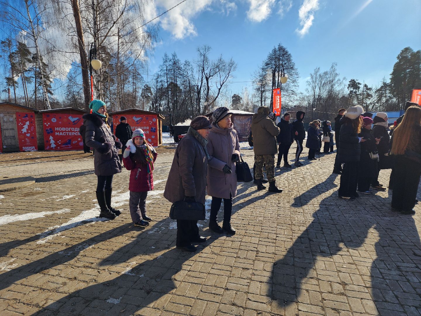 23 февраля, день защитника отечества, шатура, шатурский парк, концерт,