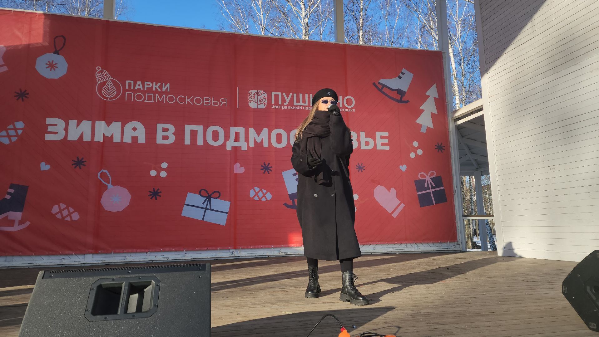 пушкино, концерт, день защитника отечества, центральный парк, лауреаты, артисты, патриотический концерт,